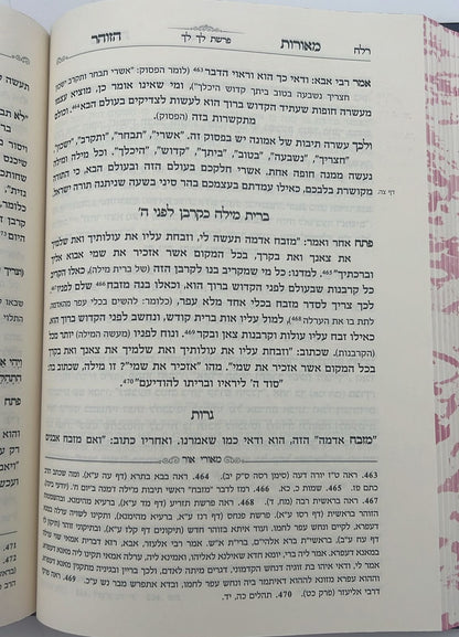 מאורות הזוהר - על חמשה חומשי תורה סט ד' כרכים / הרב עזרא בצרי שליט"א