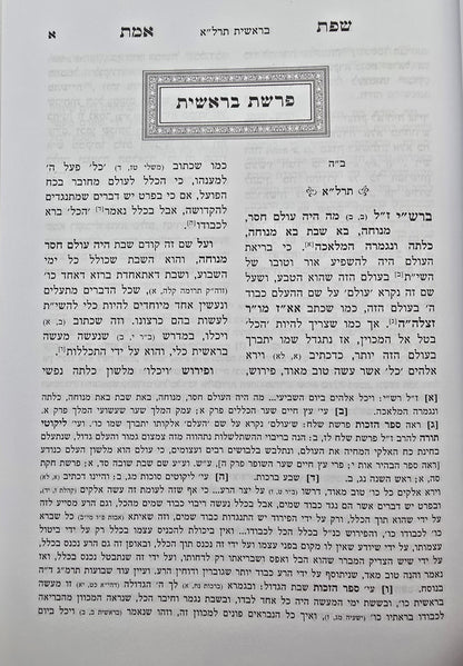 שפת אמת על התורה י' כרכים / מכון בני בינה