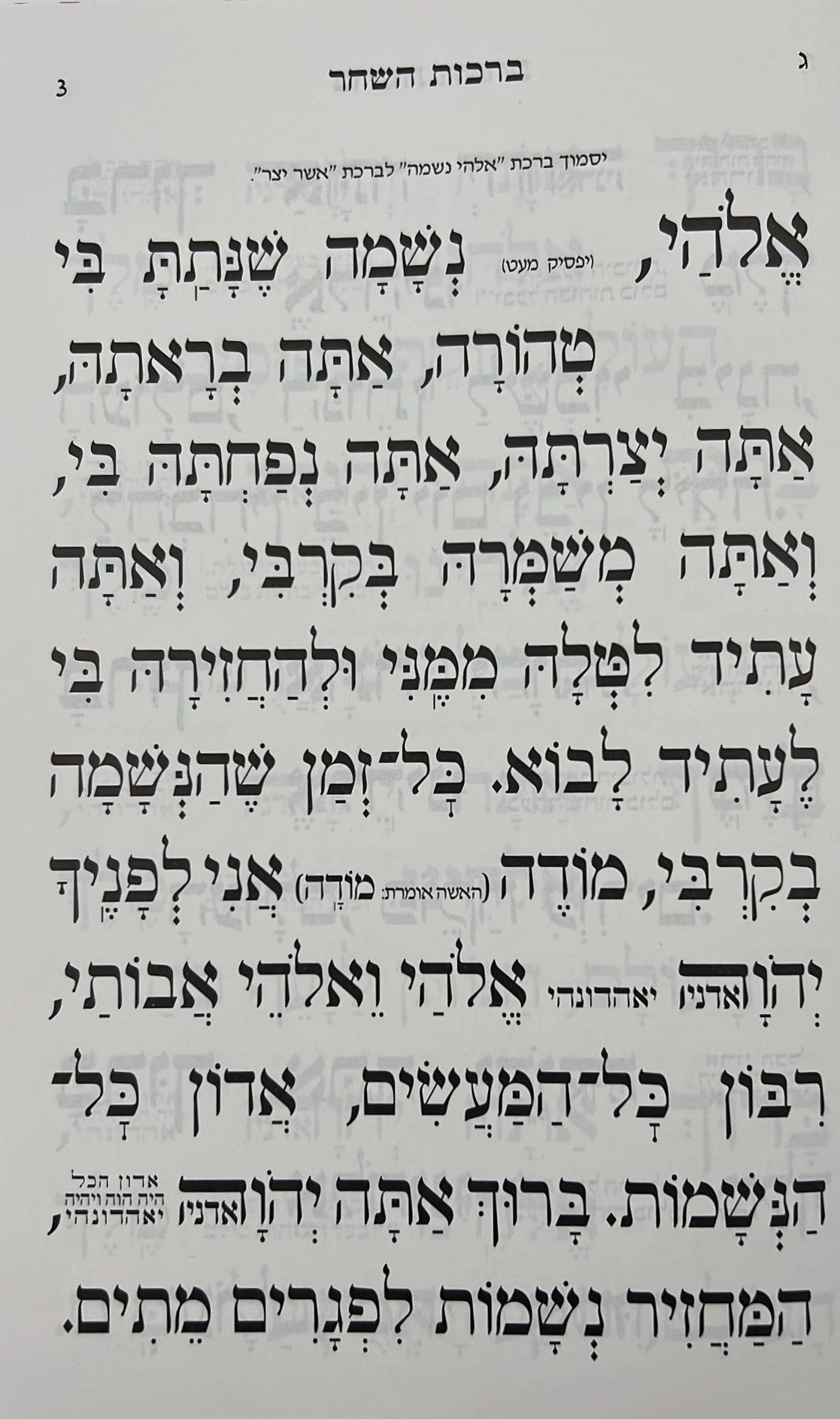 סידור אור השלום השלם - באותיות ענק / פורמט גדול