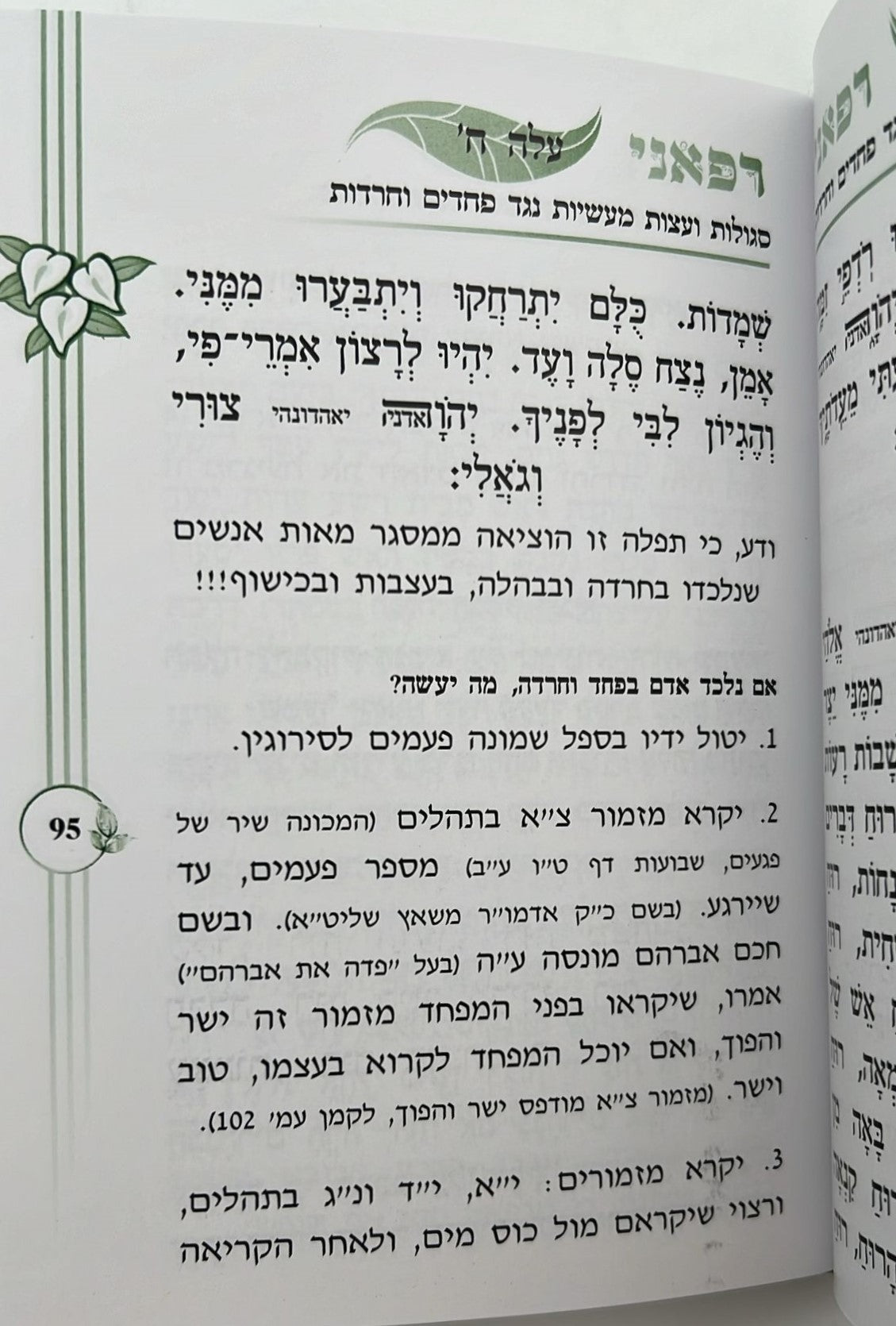 ספר רפאני / הרב אדיר עמרוצי