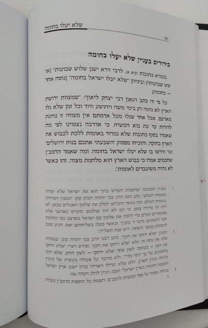 הלכות משיח לרמב"ם / הרב שלמה אבינר