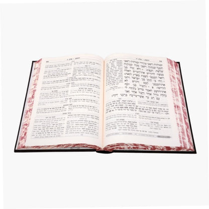 נ"ך מקראות גדולות ישעיה ב' / עוז והדר