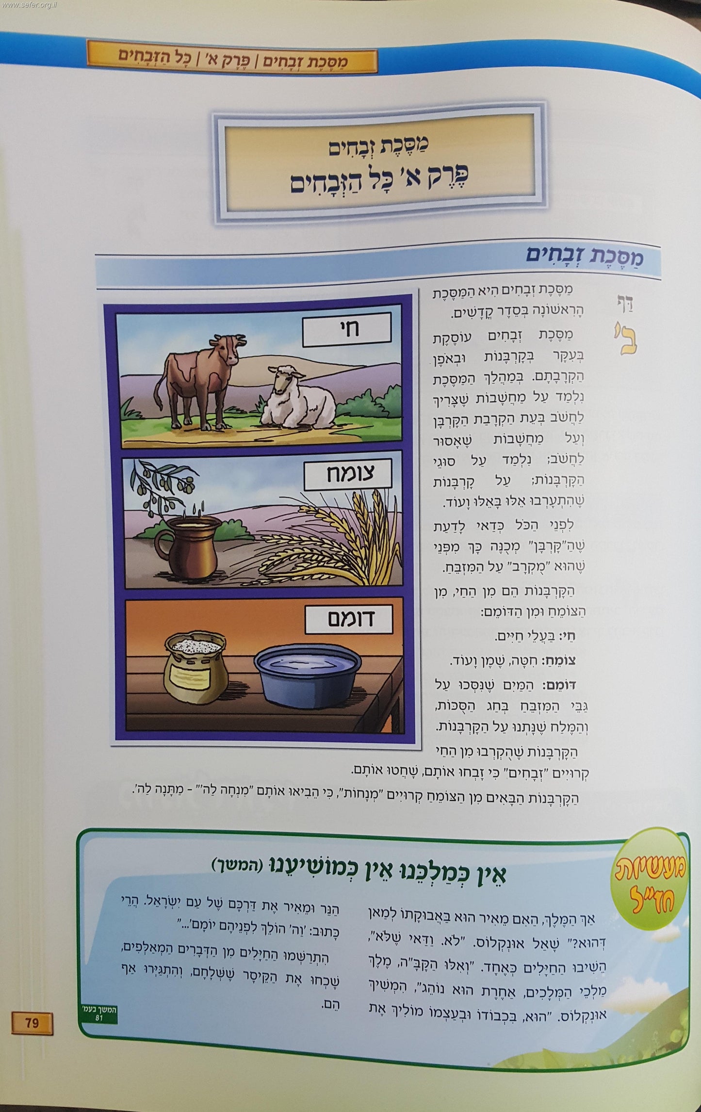 סט תלמוד ישראלי 7 כרכים במבצע מיוחד! / אבי רט