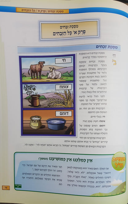 סט תלמוד ישראלי 7 כרכים במבצע מיוחד! / אבי רט