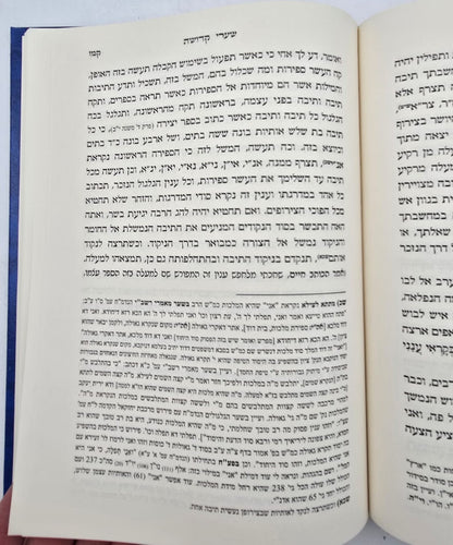 שערי קדושה השלם למהרח"ו / ועץ חיים שער מט-נ עם פירוש מרכבת יחזקאל