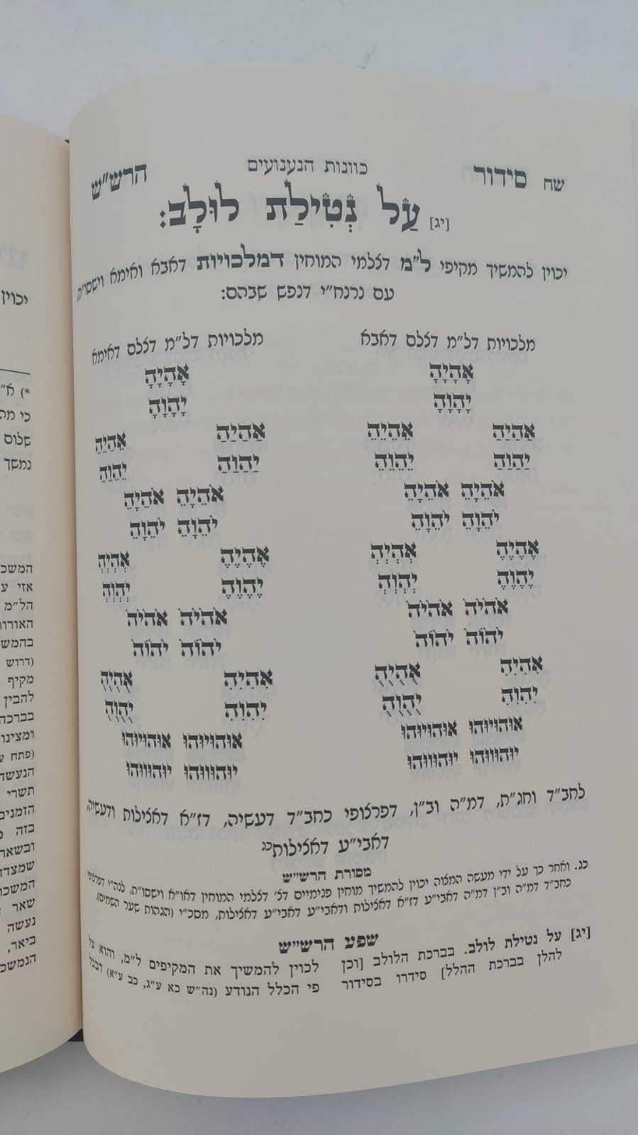 שער הכוונות - עם פירוש טיב הכוונות סוכות • סידור הרש"ש סוכות - עם פירוש טיב הרש"ש / הרב גמליאל הכהן רבינוביץ