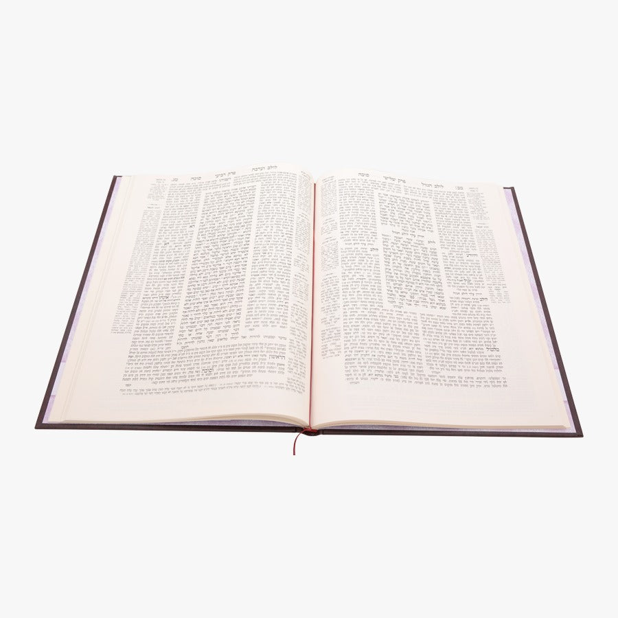 תלמוד בבלי עוז והדר תלמידים (בורדו) בלי מפרשים - מסכת סוכה