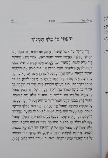 גדולת דוד המלך / הרה"צ דוד גבריאל שליט"א • שמואל לנייאדו