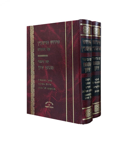 פירוש הרמב"ן על התורה עם ביאור מנחם ציון ב' כרכים