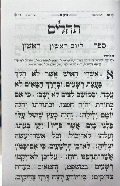 תהילים בינת הלב - בשלל מיני צבעים / פורמט קטן