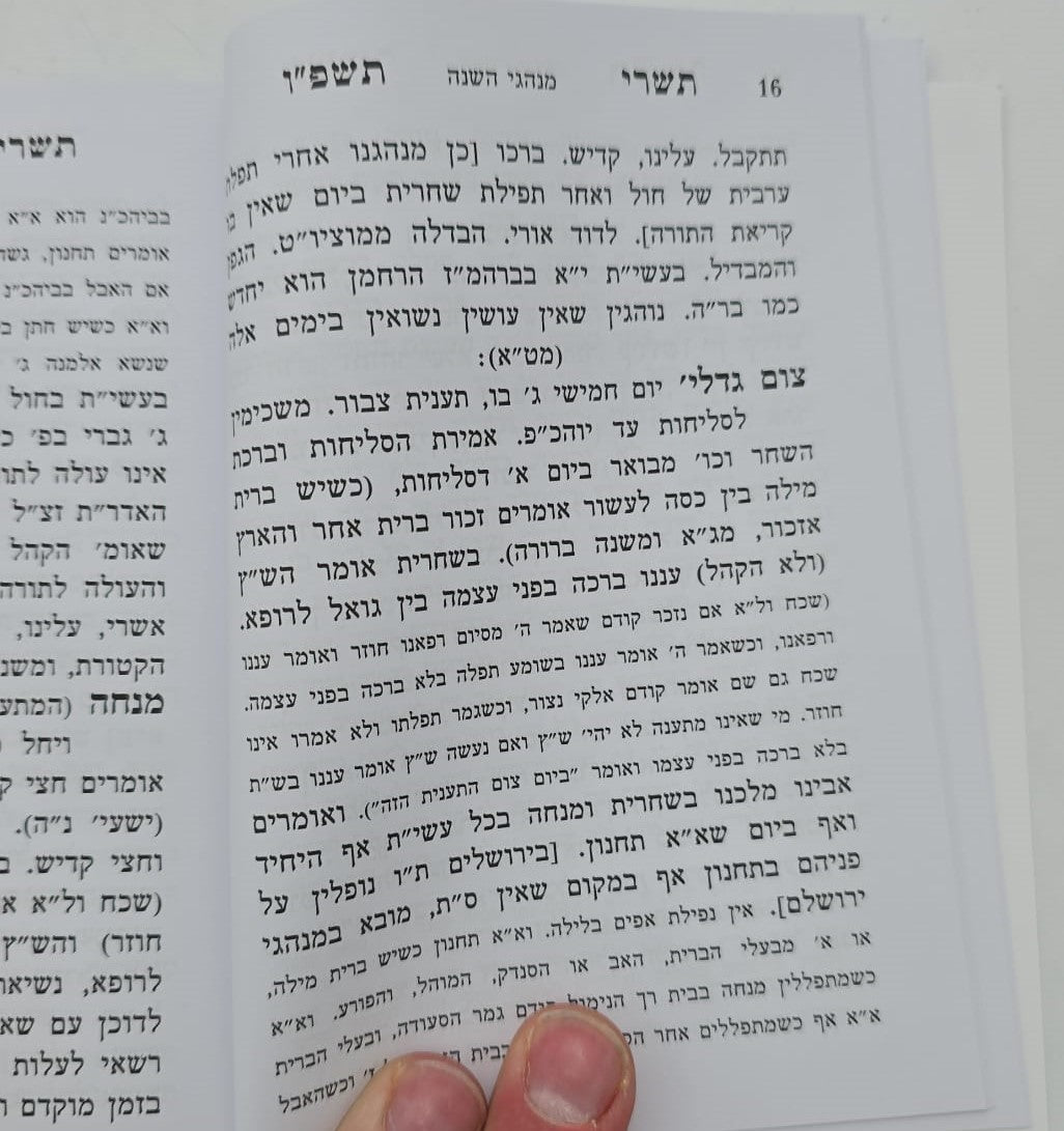 לוח ארץ ישראל טוקצינסקי שנת תשפ"ו / לוח שנה