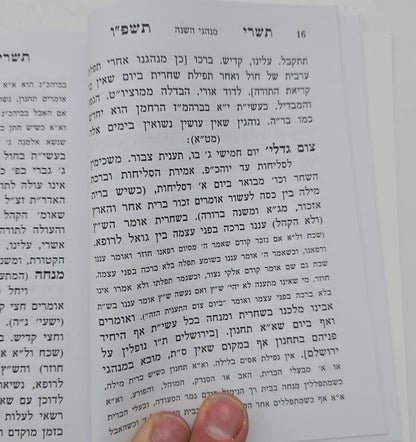 לוח ארץ ישראל טוקצינסקי שנת תשפ"ו / לוח שנה