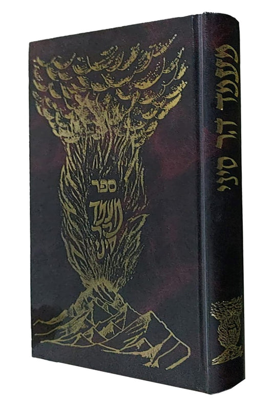 מעמד הר סיני - מתן תורה / הרב שלמה רוזנר שליט"א