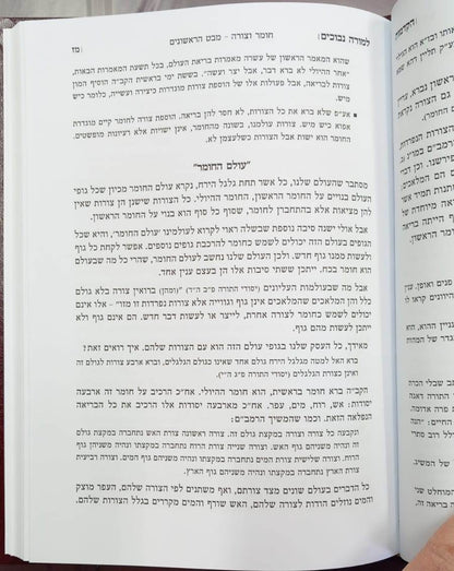 הקדמות וביאורים למורה נבוכים / להרמב"ם