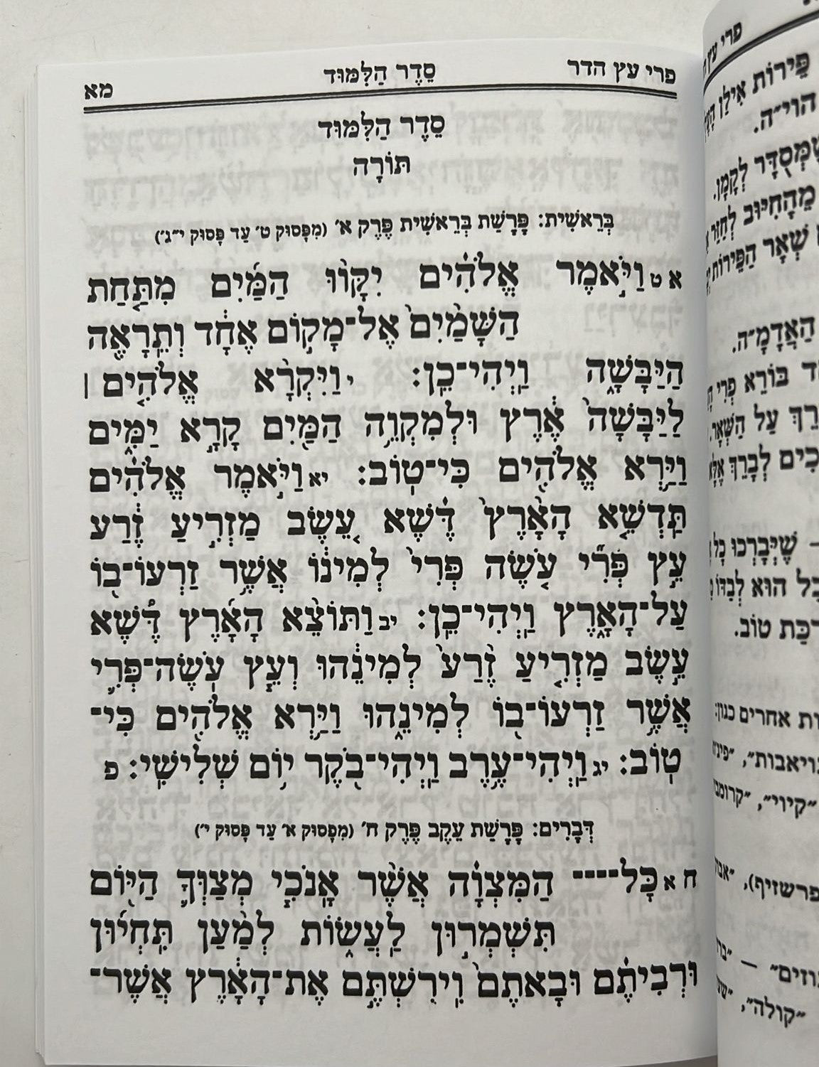 פרי עץ הדר - סדר הלימוד לטו' בשבט