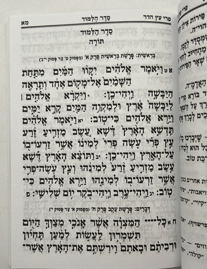 פרי עץ הדר - סדר הלימוד לטו' בשבט