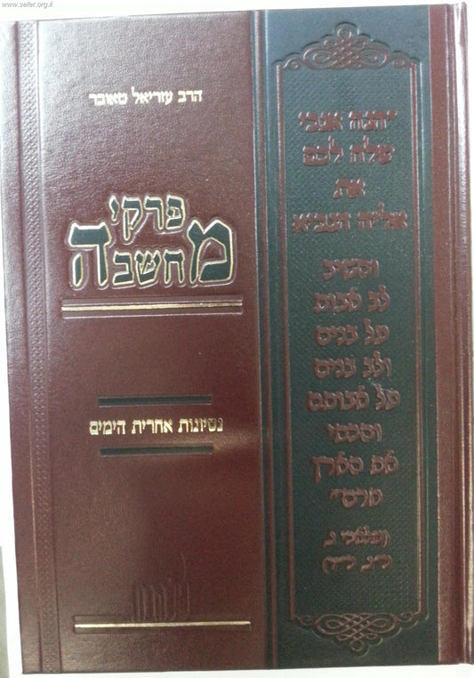 פרקי מחשבה - נסיונות אחרית הימים / הרב עזריאל טאובר