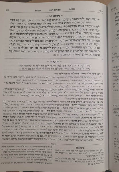 מדרש רבה המבואר ויקרא א' ויקרא - מצורע / ארטסקרול