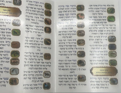 פרק שירה - ברכון למינציה (4 עמודים) / פורמט גדול