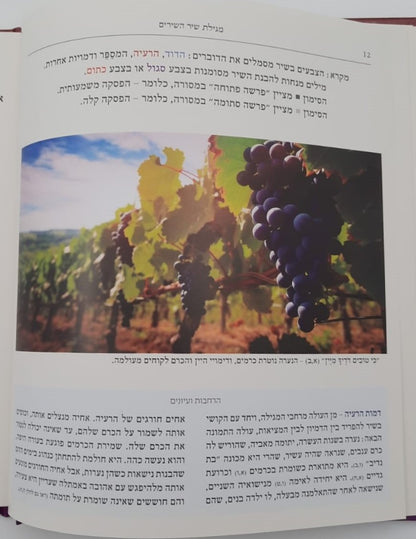 שירה חדשה מתחתנים - שיר השירים חופה וקידושין / מפעל משנה תורה (יוחאי מקבילי)