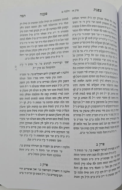 צפנת פענח השלם - על הרמב"ם סט ב' כרכים / מכון עלה זית