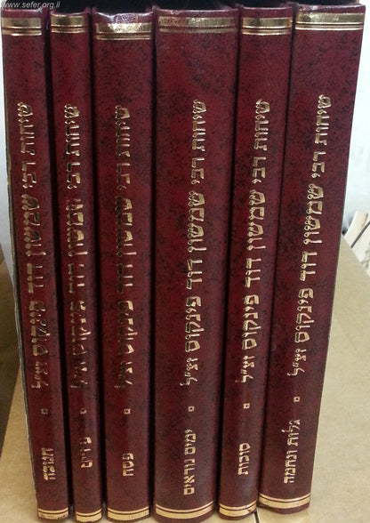 שיחות הרב פינקוס - מועדים ו' כרכים / רבי שמשון דוד פינקוס זצ"ל