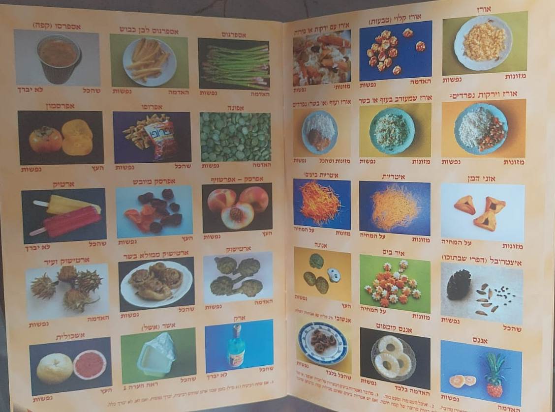 לוח ברכות - ברכה ראשונה וברכה אחרונה / למינציה