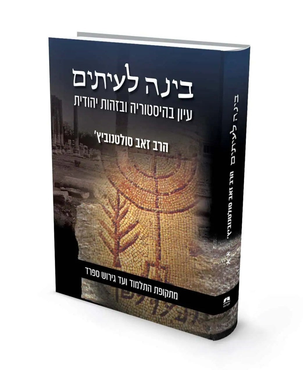 בינה לעיתים חלק ב' / הרב זאב סולטנוביץ'