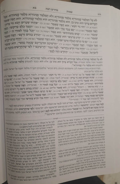 מדרש רבה המבואר ויקרא א' ויקרא - מצורע / ארטסקרול