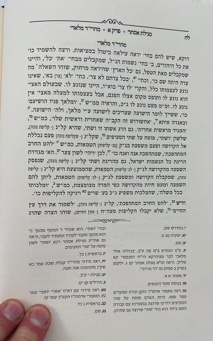 מגילת אסתר - עם פירוש מהרי״ד מלאדי / נכד הצמח צדק