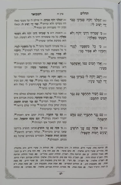 ספר תהילים עם ביאור בתורתו יהגה -חלק א / הגאון הרב דוד פולק שליט"א