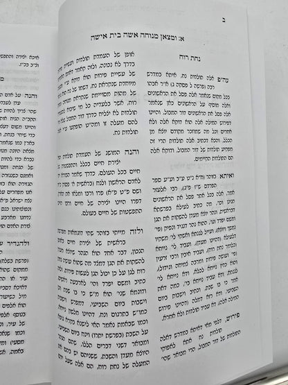 שובי ונחזה - שבת תפילה / רבי משה שפירא זצוק"ל