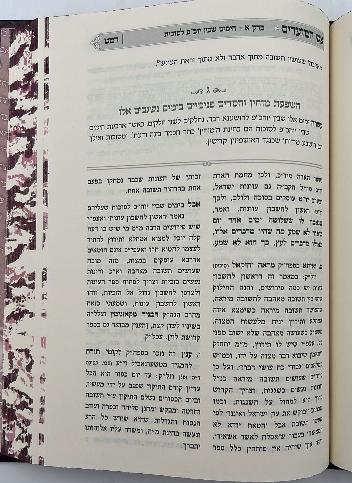 אש המועדים - עשי"ת, יום הכיפורים, סוכות / הכנה למועדי ה'