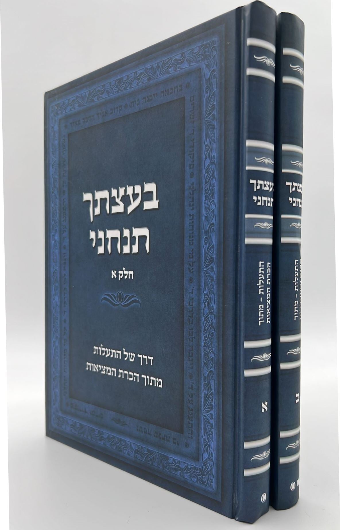 בעצתך תנחני חלק א' - דרך של התעלות מתוך הכרת המציאות