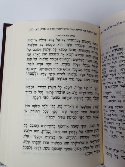 סימני האמרים - סימנים, קיצורים ותמציות - לספר ליקוטי אמרים תניא / שי למורא