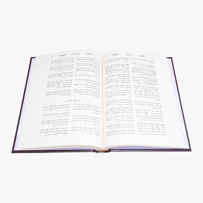 שינון השולחן - הלכות שבת / עוז והדר