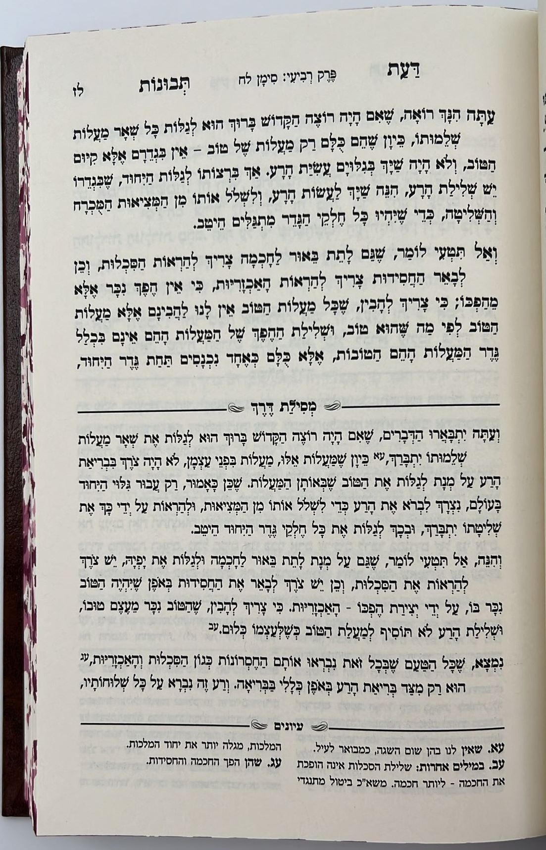 דעת תבונות לרמח"ל המבואר - עם ביאור מסילת דרך / הרב מרדכי הלוי פיש