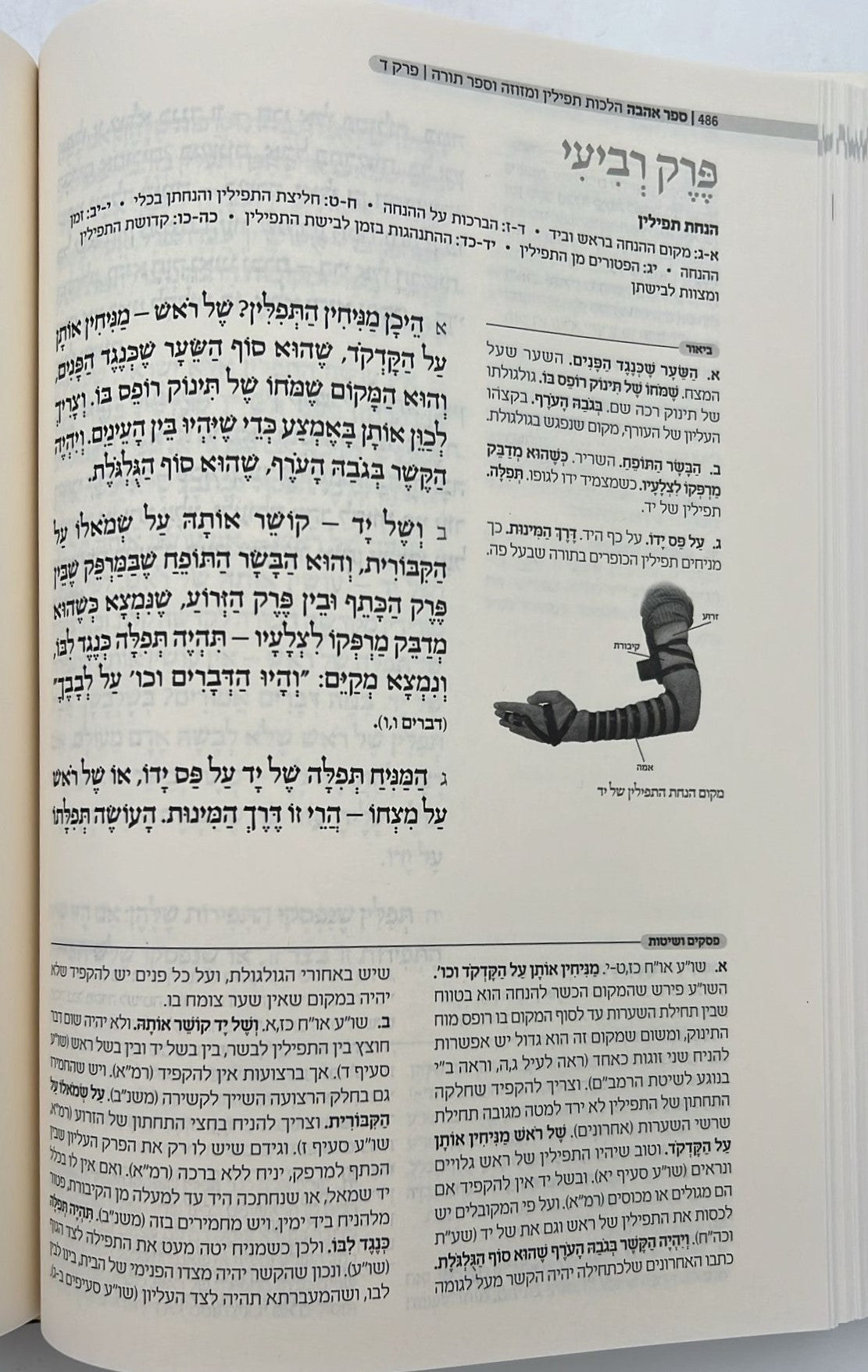 סט משנה תורה לרמב"ם ח' כרכים - עם ביאורו של הרב שטיינזלץ במבצע