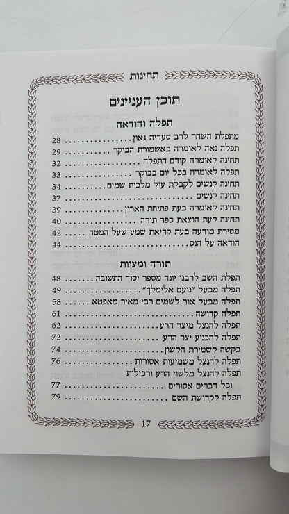 ספר התחינות לכל זמן ולכל חפץ פלדהיים