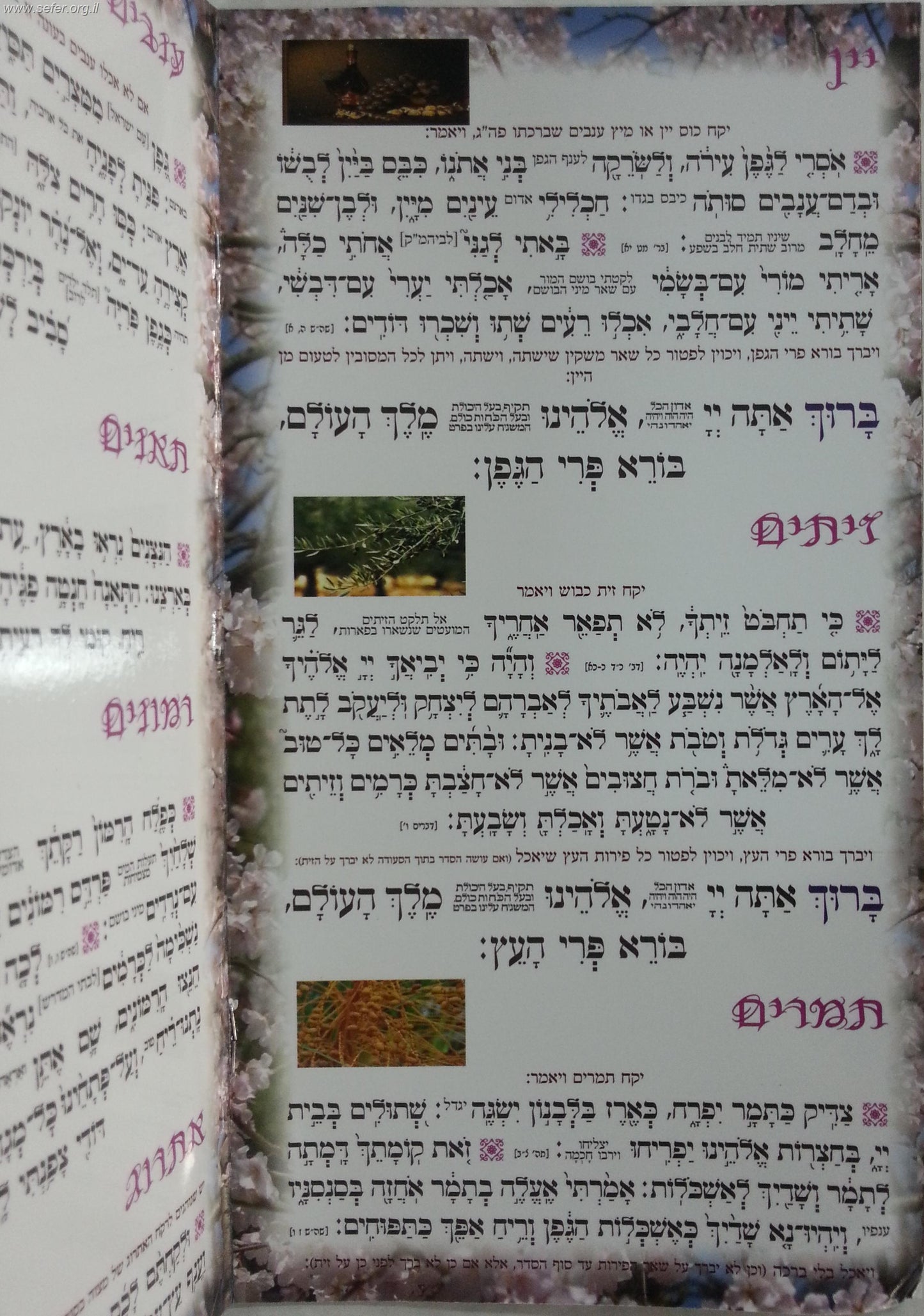 סדר טו' בשבט - כונת הלב פורמט גדול