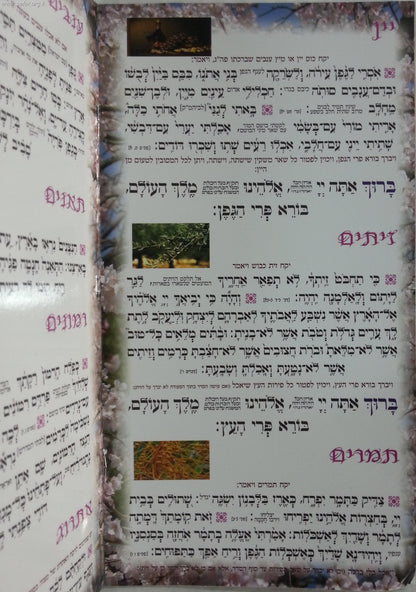 סדר טו' בשבט - כונת הלב פורמט גדול