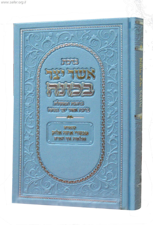 ברכת אשר יצר בכוונה דמוי עור