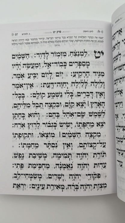 תהילים בינת הלב בעיטור הכותל המערבי - מגוון צבעים פורמט קטן (כריכה רכה)