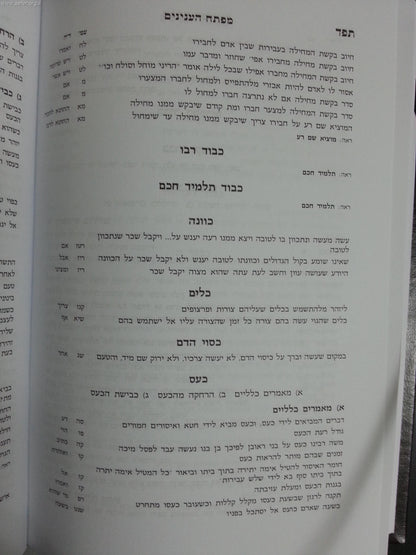 יעלזו חסידים מוסר ועצות מנוקד / ר' אליעזר פאפו