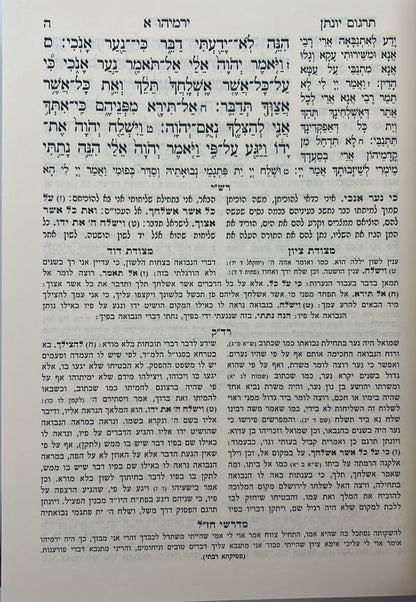 נ"ך מקראות גדולות נחמד למראה לתלמידים - ירמיה / נביאים וכתובים