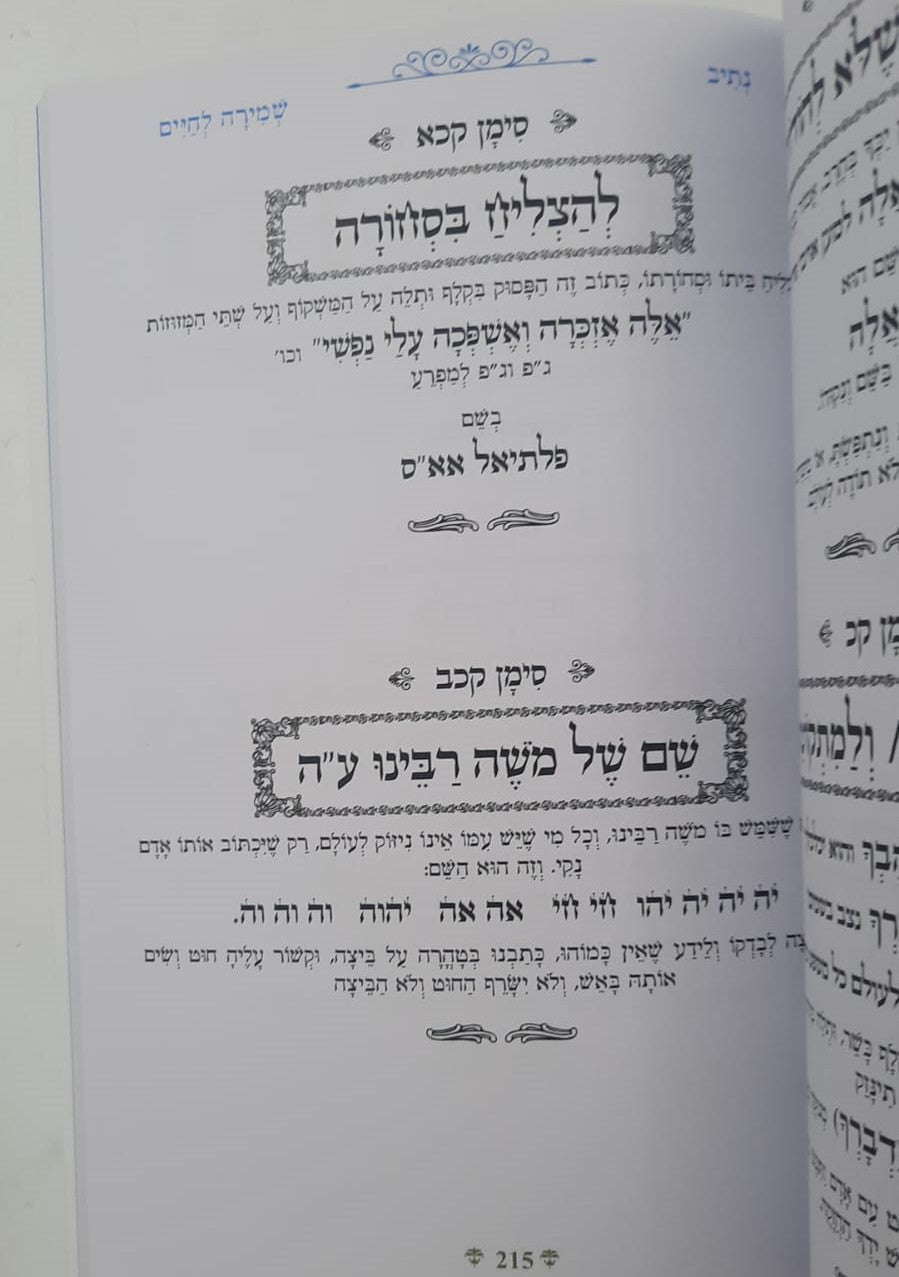נתיבות שלום - נתיב שמירה לחיים / לפי סדר הרש"ש זלה"ה