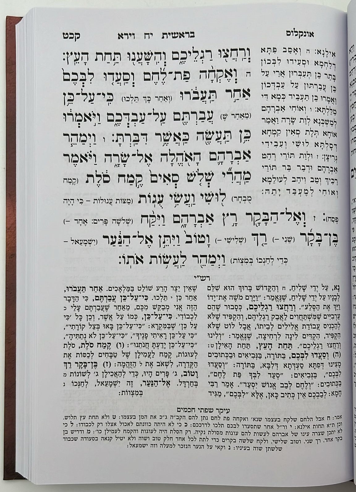 חמשה חומשי תורה - תורה מאירה ה' כרכים / הרב רונן חזיזה