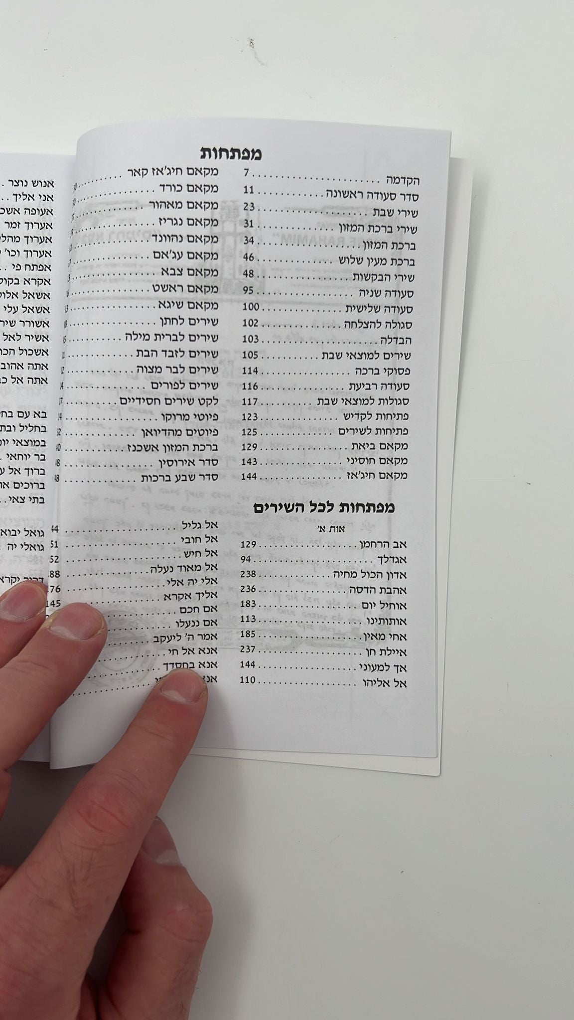 אביעה רננות - שירים ובקשות לשבתות חגים ושמחות / כריכה רכה