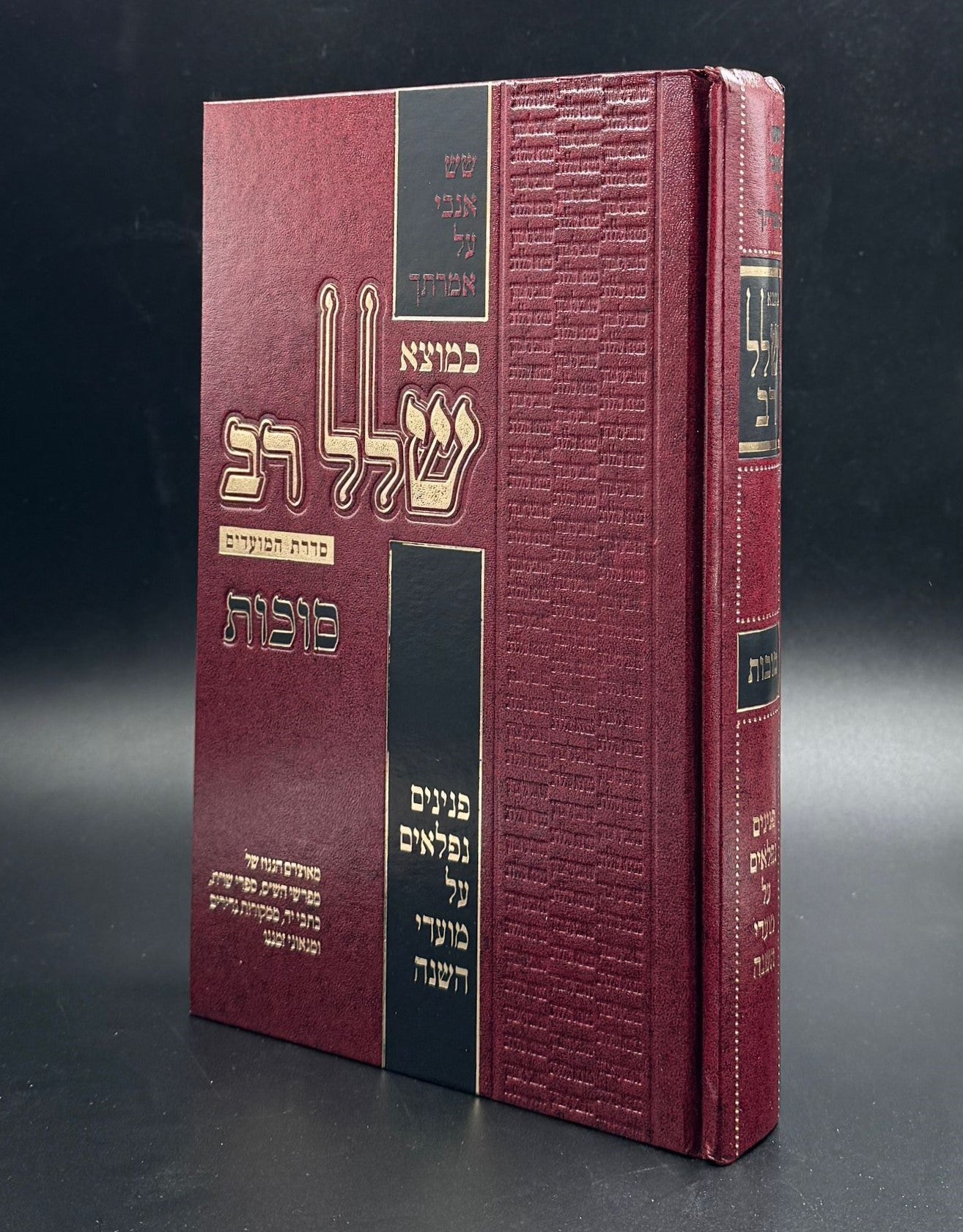 כמוצא שלל רב - סוכות / סדרת המועדים