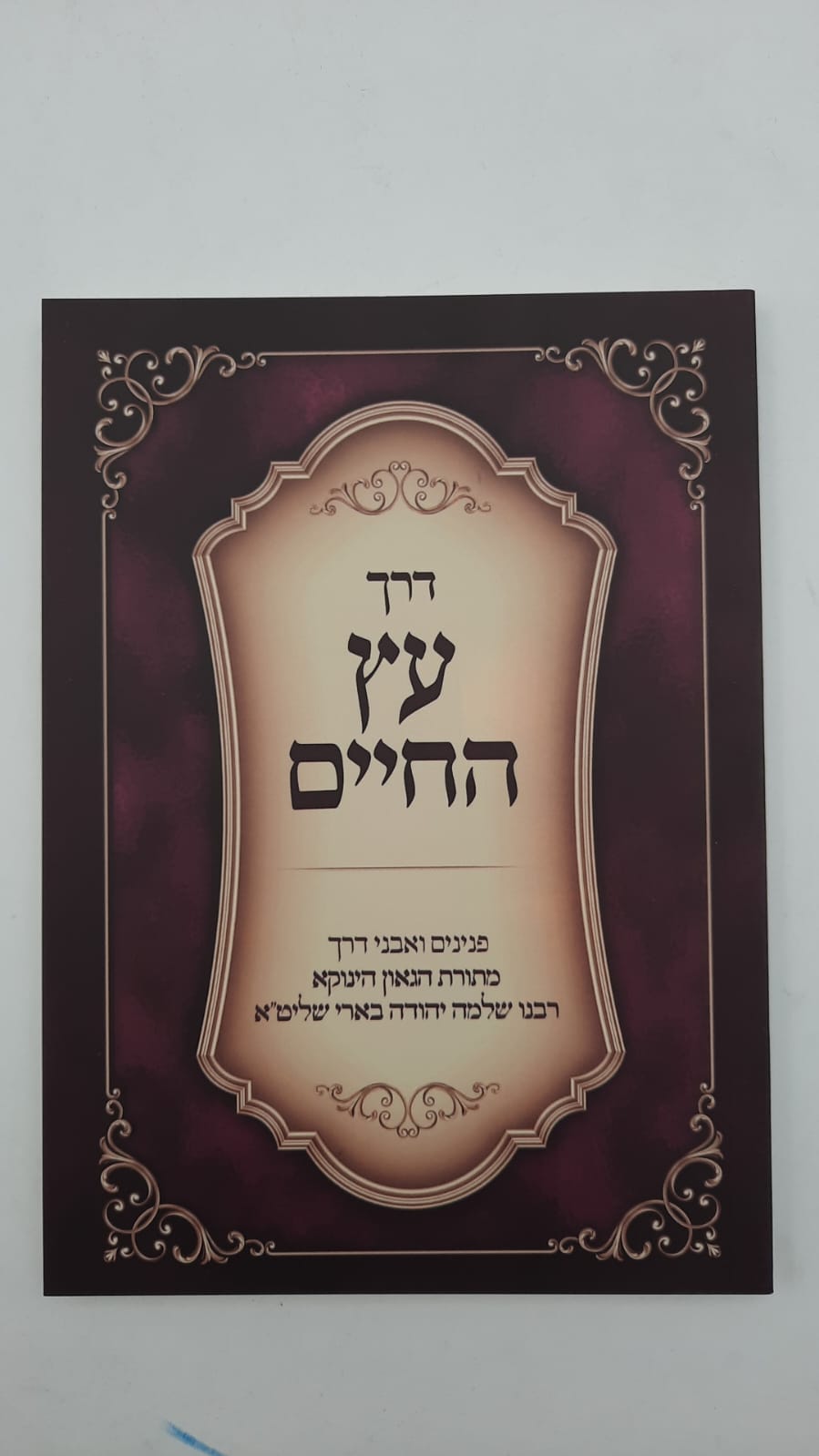 דרך עץ החיים - (הינוקא) רבנו שלמה יהודה בארי שליט''א